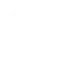 white gdpr icon